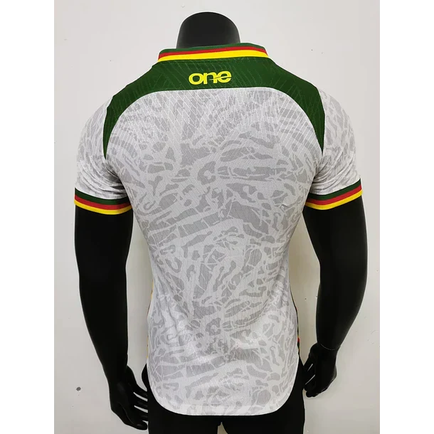 Maillot secondaire du Cameroun 2023/24