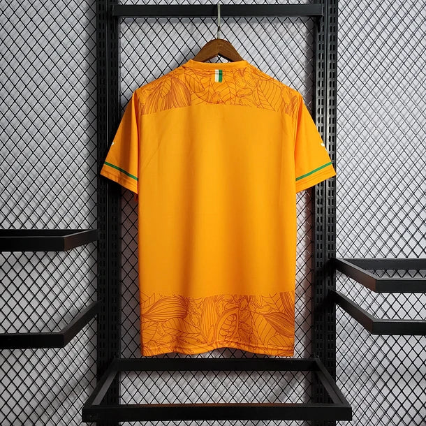 Ivory Coast Third Shirt 2022/23