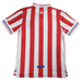 Chivas Guadalajara 100th Anniversary - JERSEYS4ALL